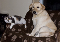 Bo&Cal